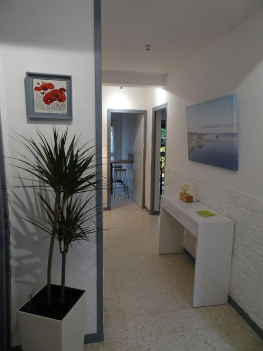 Grande Maison 3 Chambres - Jardin, Terrasse Et Parking - Bord De Mer Torreilles Exterior photo